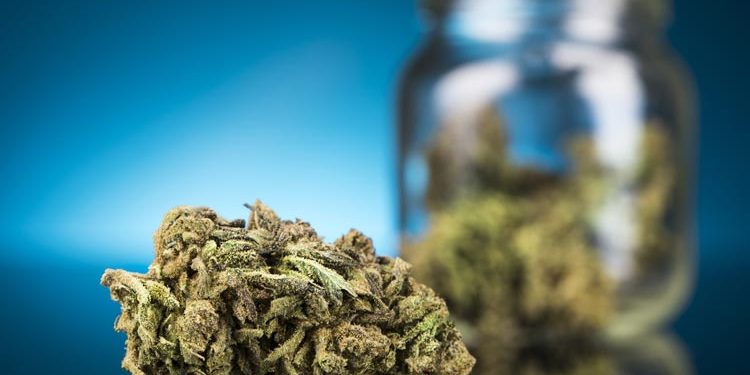 CBD Flower